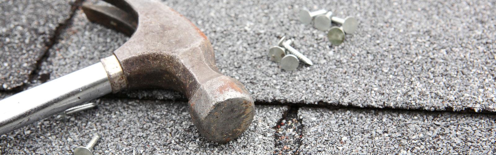 Berkeley Roof Services Images